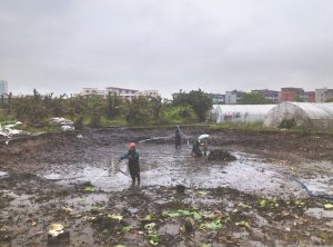 文山河道鱼塘清淤